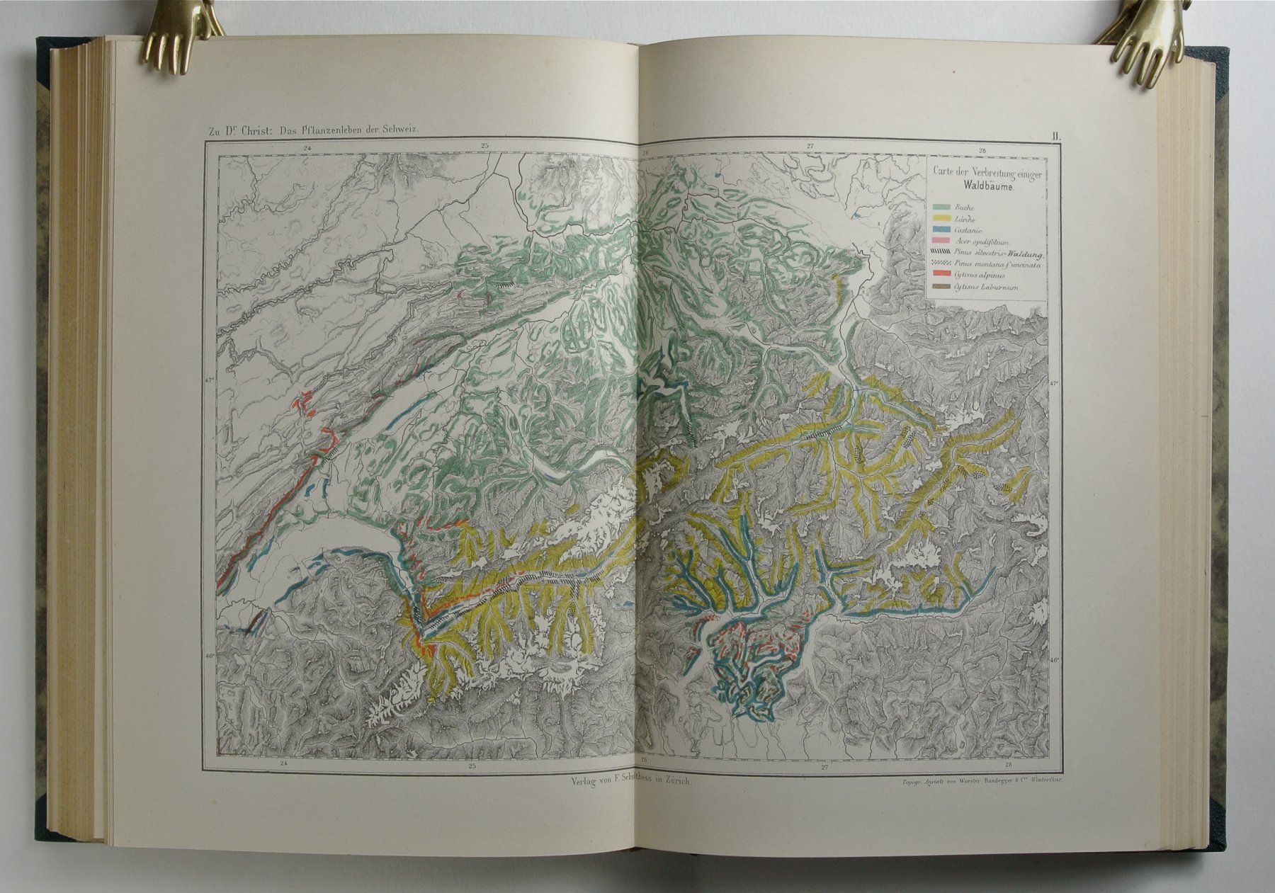 Libri: Christ, H. Das Pflanzenleben der Schweiz. Mit einigen Abb. – Usato da Erschwil venduto da taglang 1