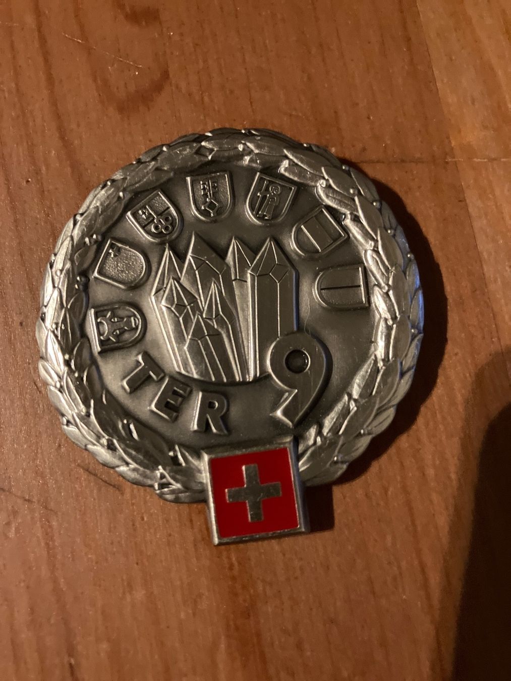 Schweizer Armee Plaketten & Abzeichen: Plakette Schweizer Armee Ter 9 – Gebraucht aus Glarus von Jhuber78