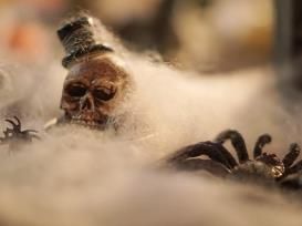 Piante e fiori finti: Halloween Spinnennetz weiß 50g – Nuovo e nell'imballaggio originale da Däniken SO venduto da Profog1 5
