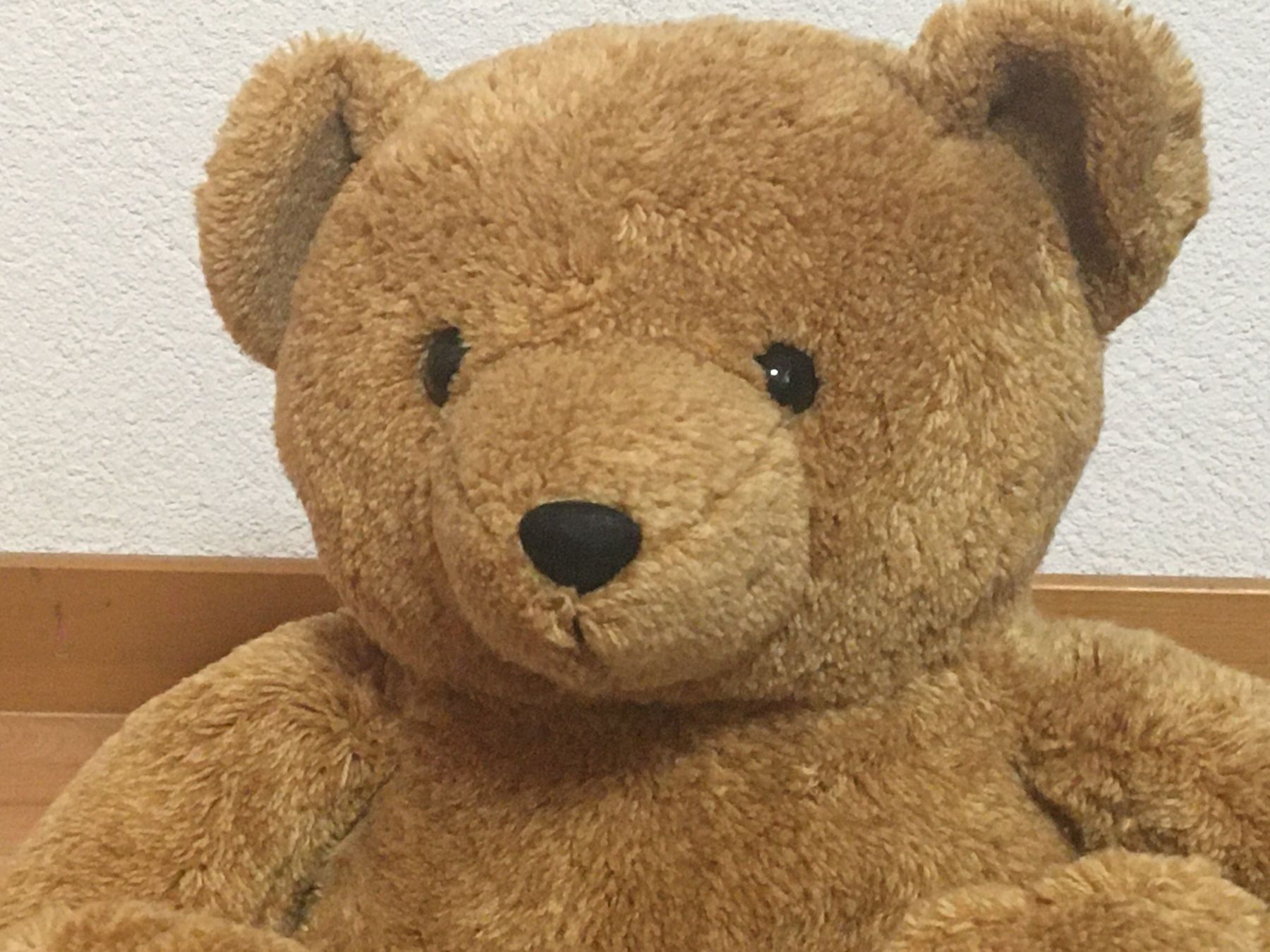 Spielzeuge: Teddybär Plüschtier – Gebraucht aus Löhningen von Chimae67 1