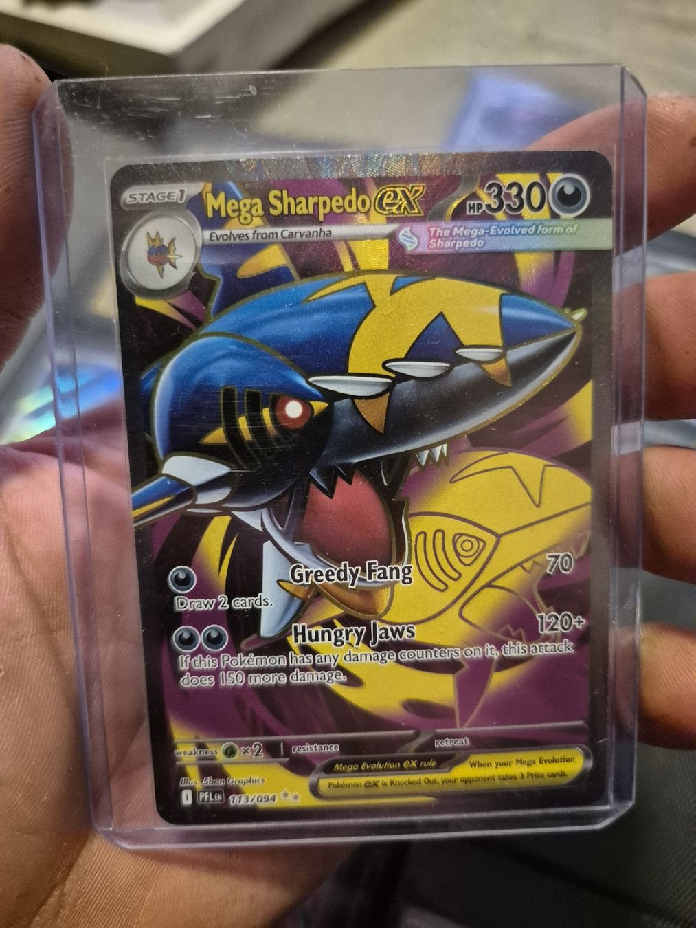 Pokémon Carte collezionabili: Mega Sharpedo EX - Seltene Pokémon Karte - Top Zustand! – Nuovo (secondo la descrizione) da Rorbas venduto da han_56g9