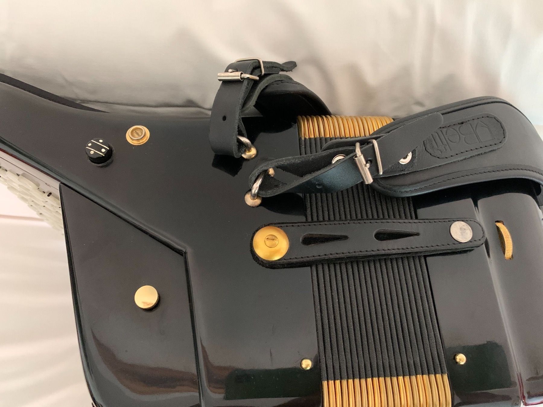 Strumenti musicali: Akkordeon Bugari Armando Gold Series – Usato da Zürich venduto da Olimpied 7
