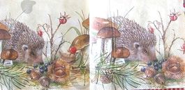 Serviette nosy little hedgehog 25x25 (t317) 2Stk.