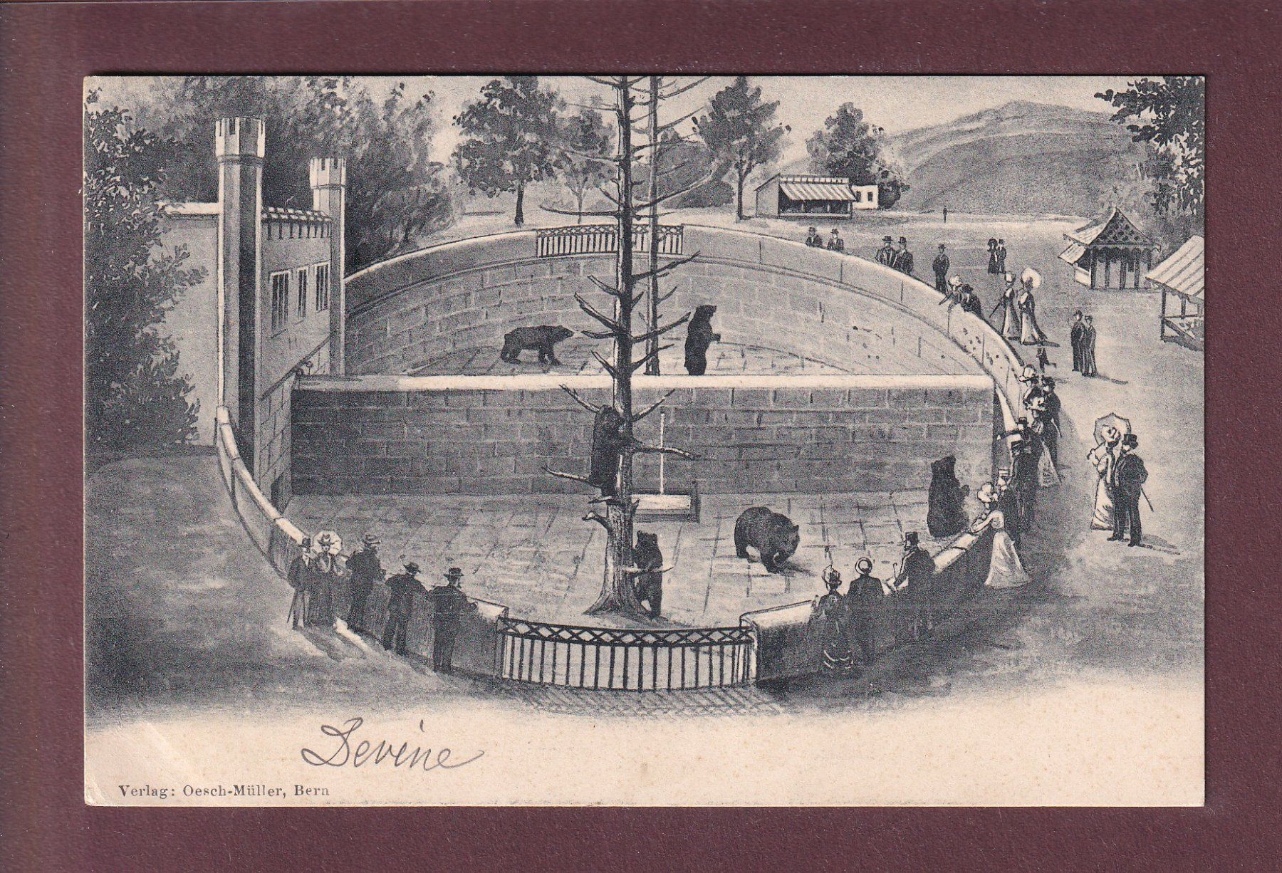 Ansichtskarten: BERN - Bärengraben - 1903 – Gebraucht aus Pully von nicecards