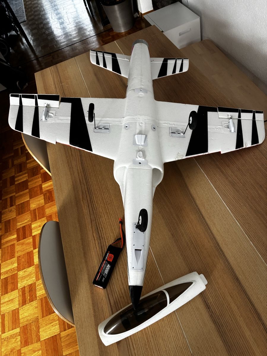 E-Flite Modellismo RC: Eflite Habu STS jet  – Usato da St. Gallen venduto da Lhoigor 5
