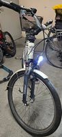 E-Bike Flyer Next Generation 36V,  Perfekt für Alltag 