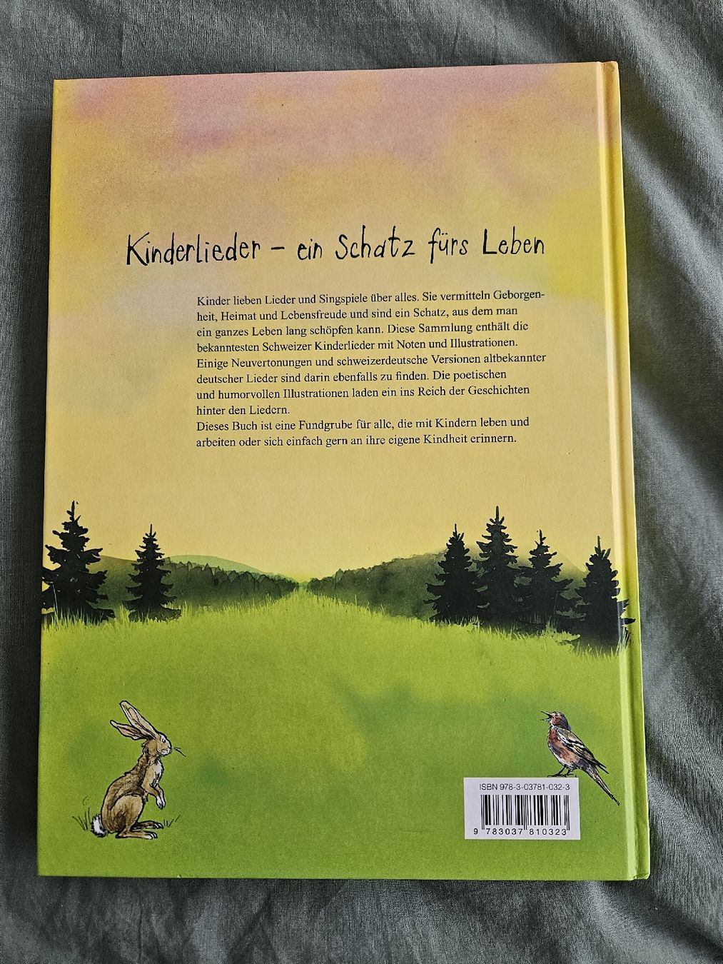 Libri: Schweizer Kinderlieder - Illustriert, farbig – Usato da Cham venduto da Fischli84 1