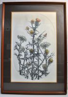 Tableau 45/250 (voir signature)