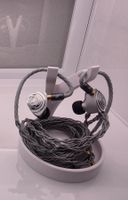 Elysian Accoustic Labs PILGRIM & Cayin RU7 (+custom cable)