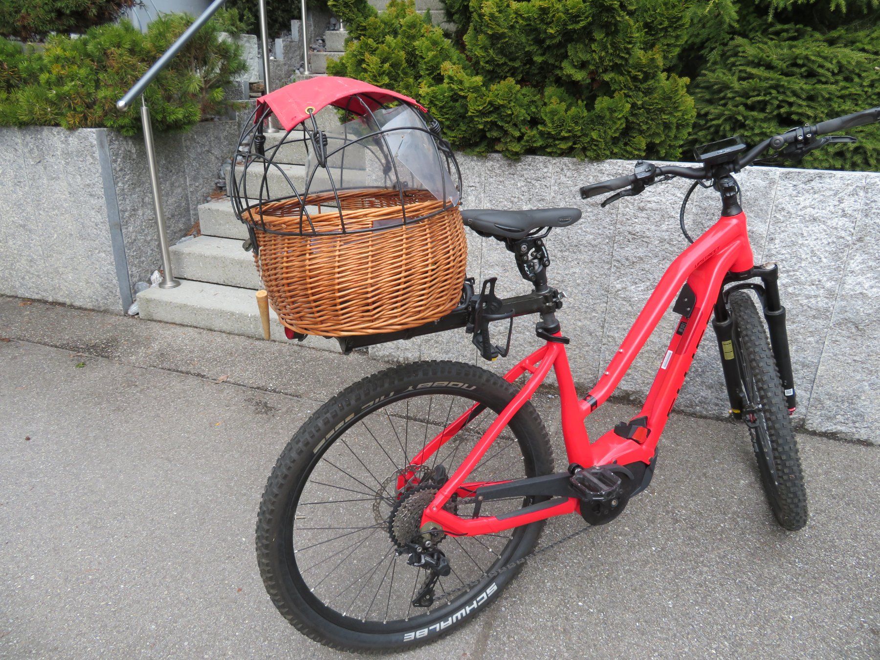 Cucce & Letti: Hunde Velokorb mit Thule Click-Fix Rack – Usato da Hirschthal venduto da specpro 1