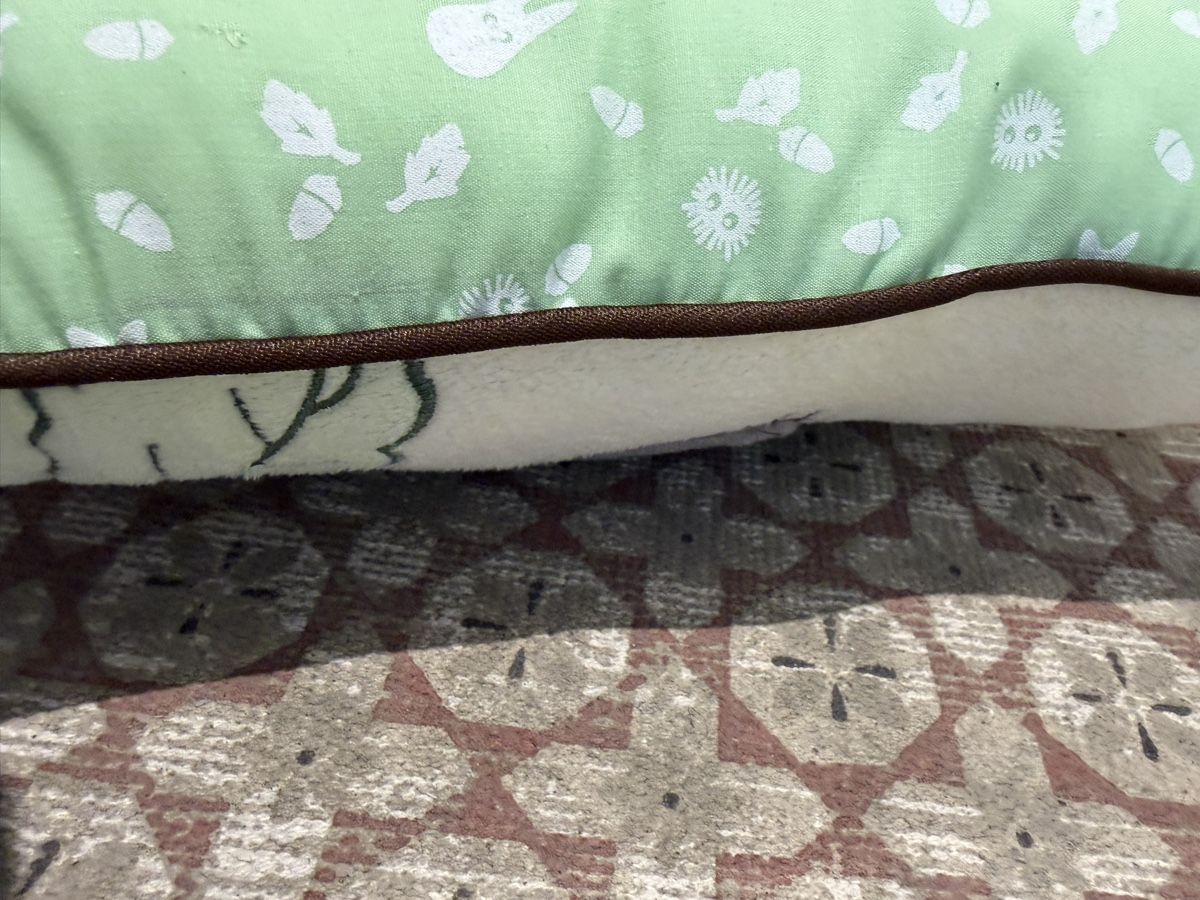 Cuscini: Totoro Kissen – Usato da Baden venduto da CeDe22 6