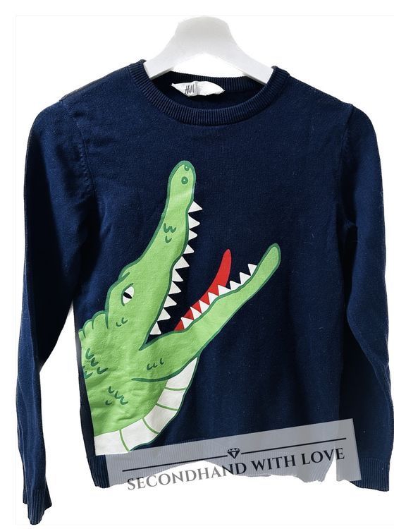 Pullover & Sweatshirts: Pulli gr 130/134 – Gebraucht aus Langnau am Albis von Judithsebi