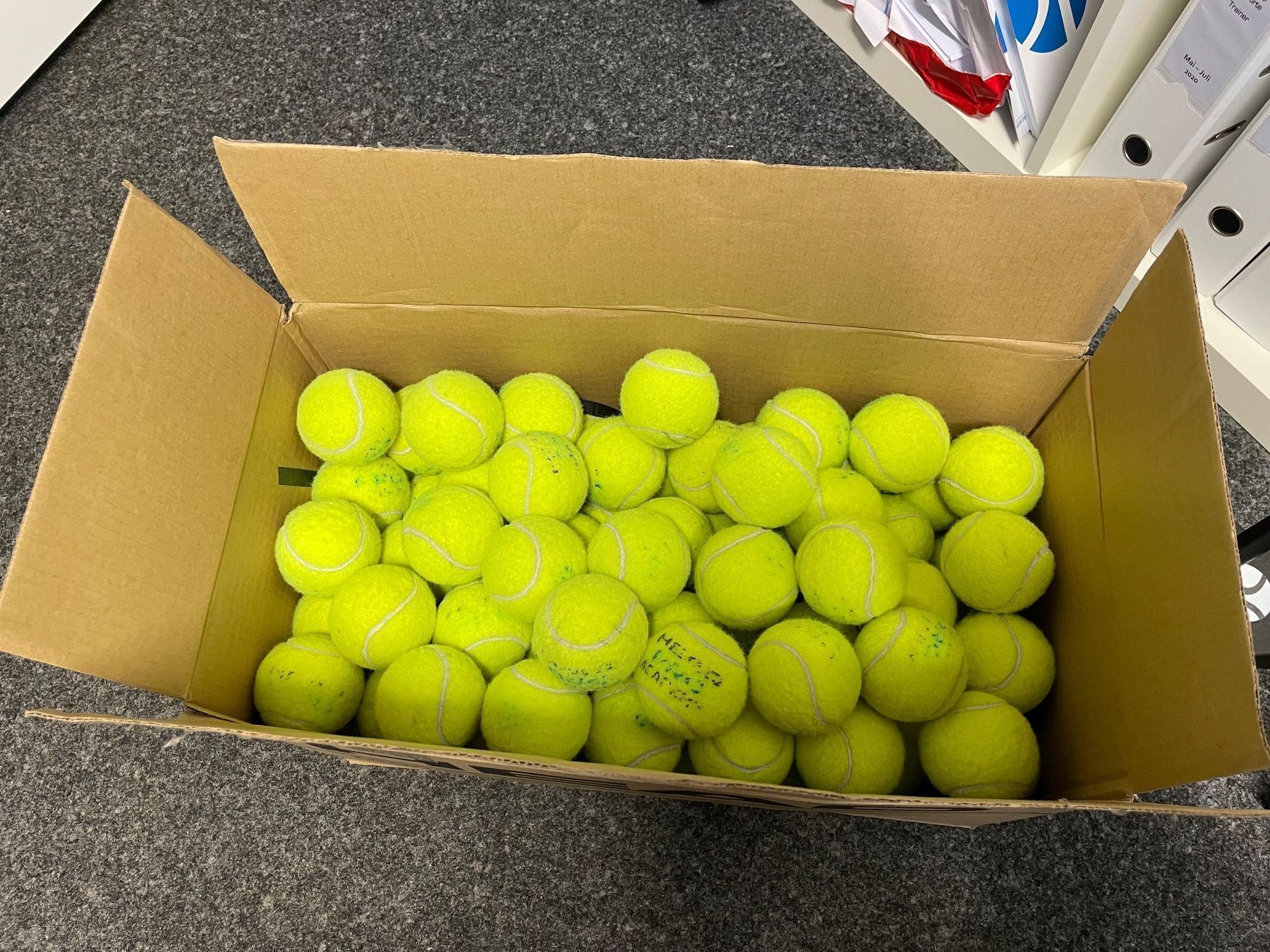 Head Palloni: Tennisbälle – Usato da Lachen SZ venduto da Jcscherrer