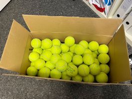 Tennisbälle Level grün