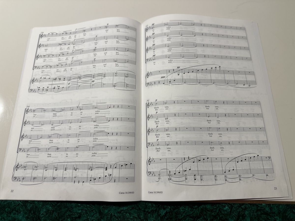 Libri: Brahms: Schicksalslied op. 54, Klavierauszug Noten – Usato da Wald ZH venduto da Martin79 5