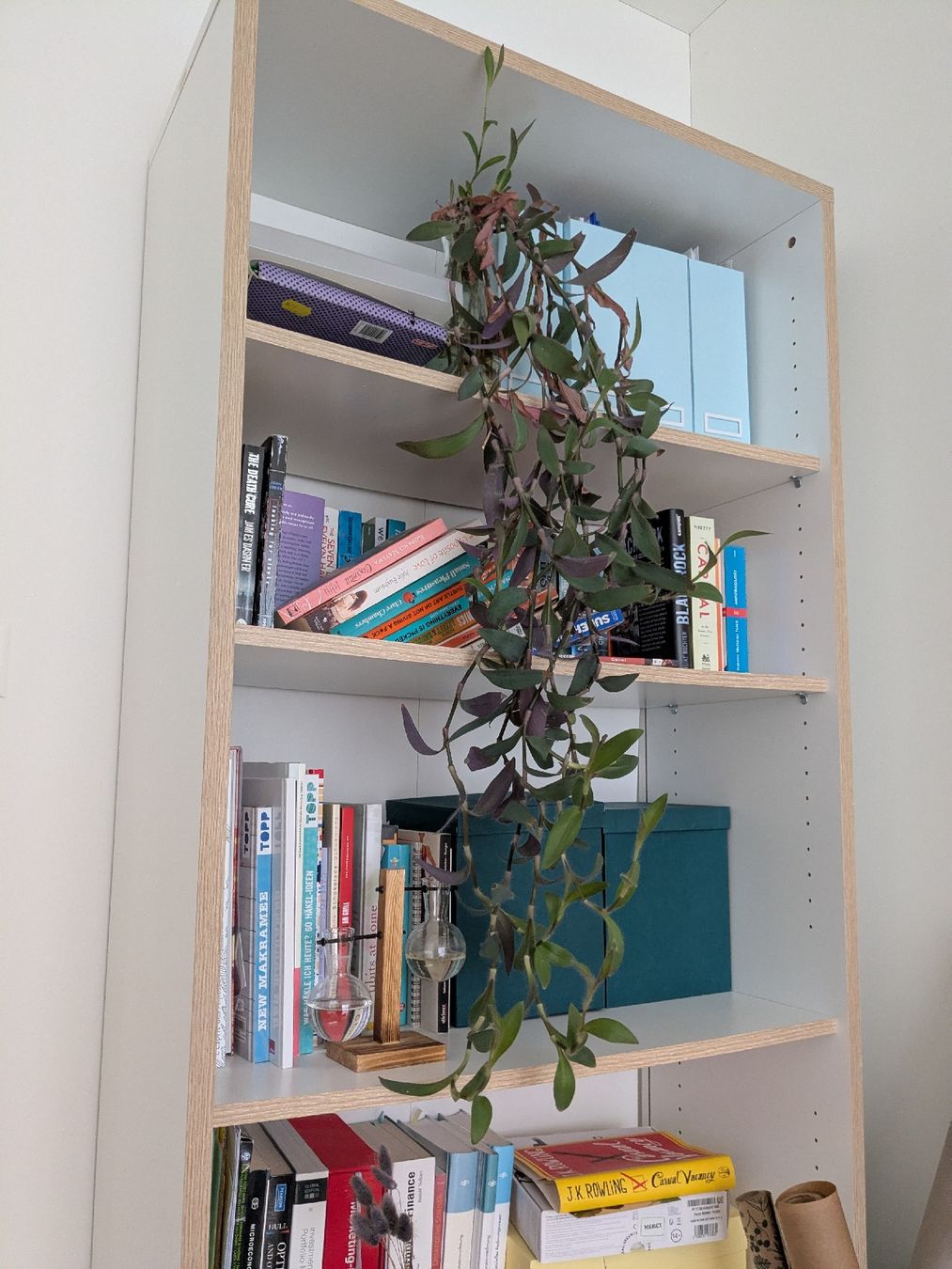 Scaffali: Weisses Bücherregal – Usato da Winterthur venduto da Prishy 1