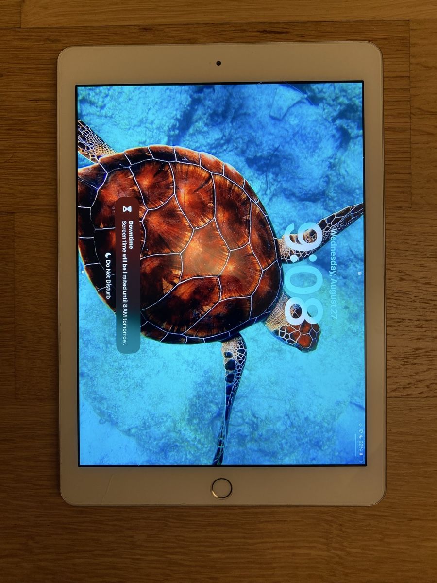 Apple Tablet PC: Excellent Condition Apple iPad 6 32GB – Gebraucht aus Thalwil von jon_xx9b