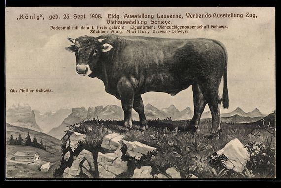Ansichtskarten: Lausanne, Eidgenössische Ausstellung, V – Gebraucht aus Berlin von bartko-reher