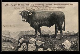 Lausanne, Eidgenössische Ausstellung, V