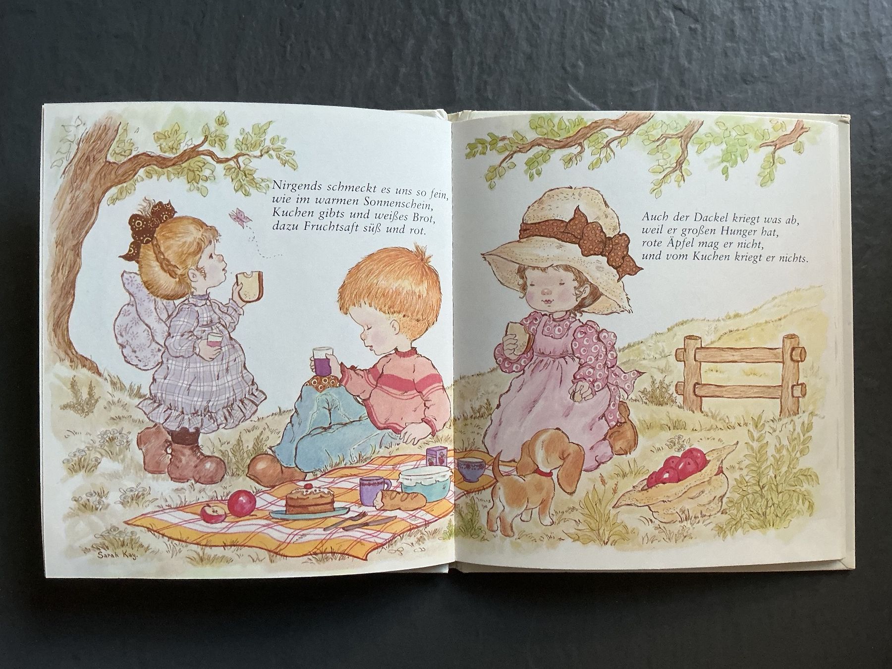 Livres: Das Picknick – D'occasion à Niederhasli par ercp4 2