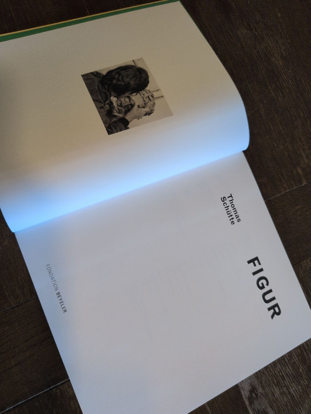 Bücher: Buch Thomas Schütte - Figur – Gebraucht aus Fribourg von Amf-blackcat 1