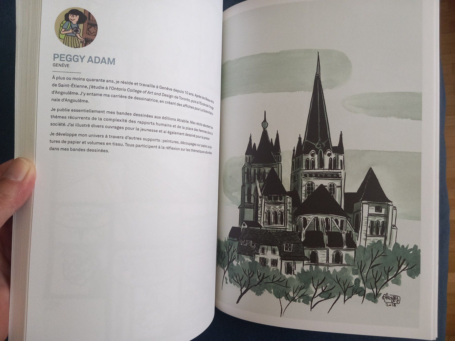 Libri: Livre Lausanne Imaginée,  BD, – Usato da Bernex venduto da casimali 3