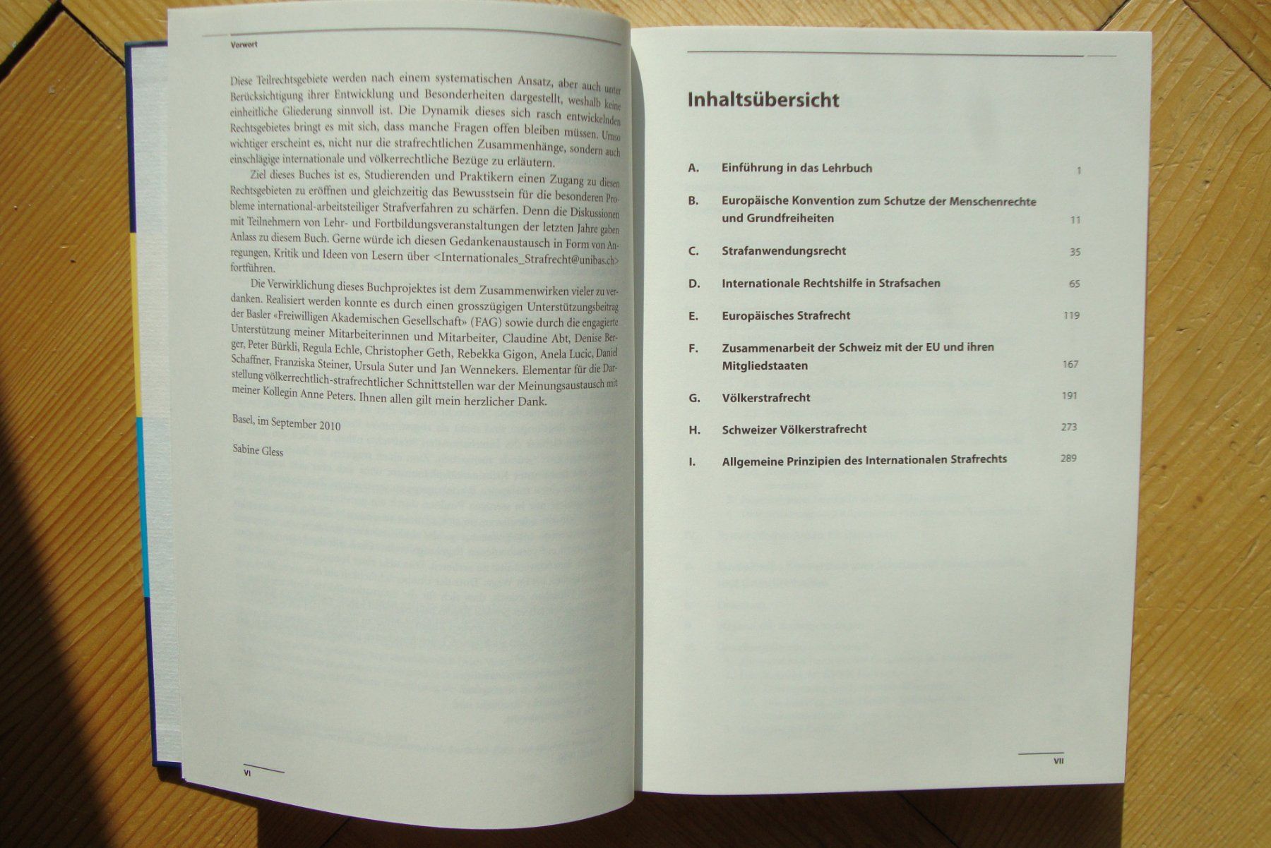 Livres: Internationales Strafrecht - Studium + Praxis - Sabine Gless – D'occasion à Bern par carola31 2