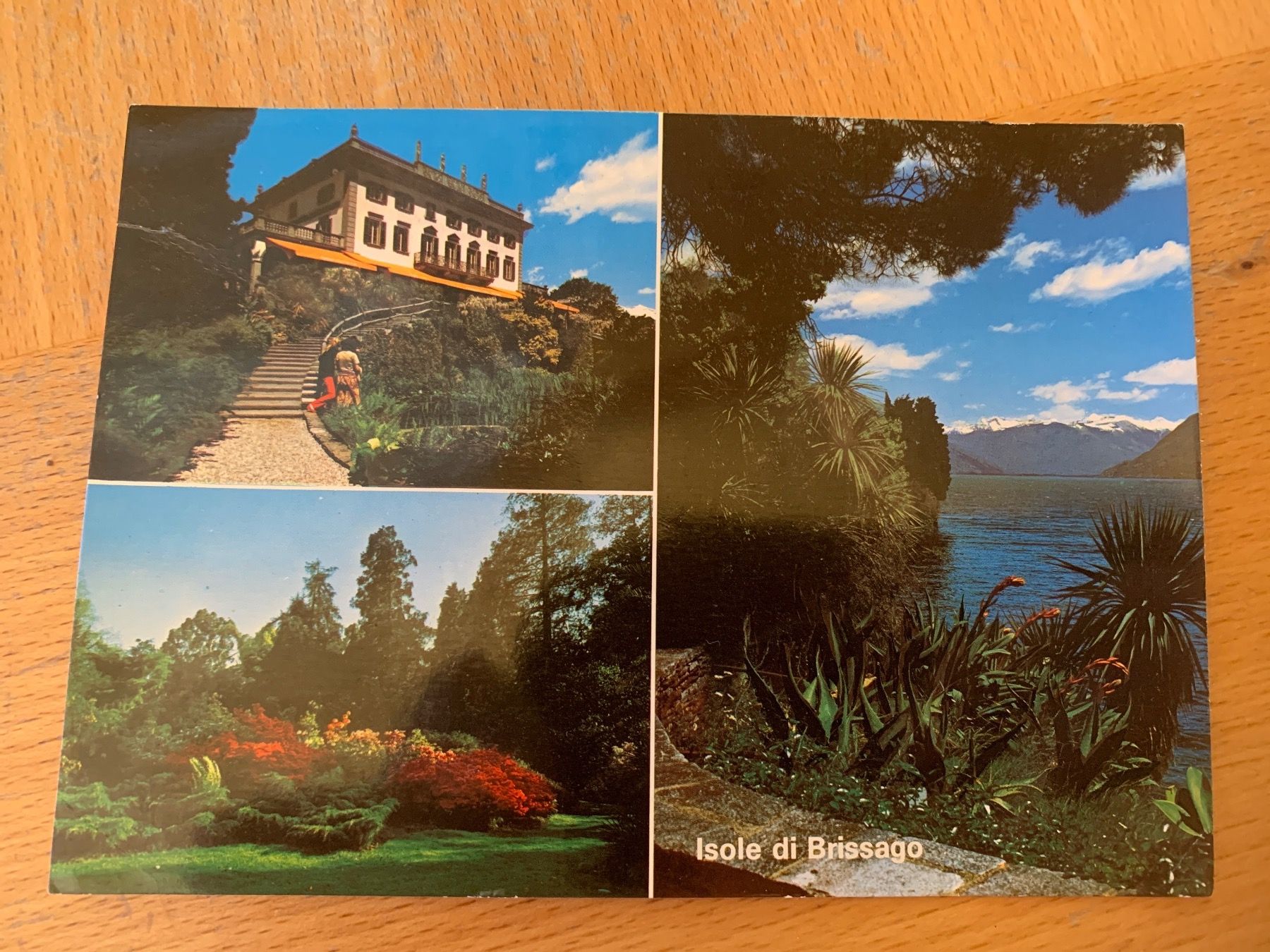 Cartoline: Brissago Insel Postkarte – Usato da Wiggen venduto da Antoniotto