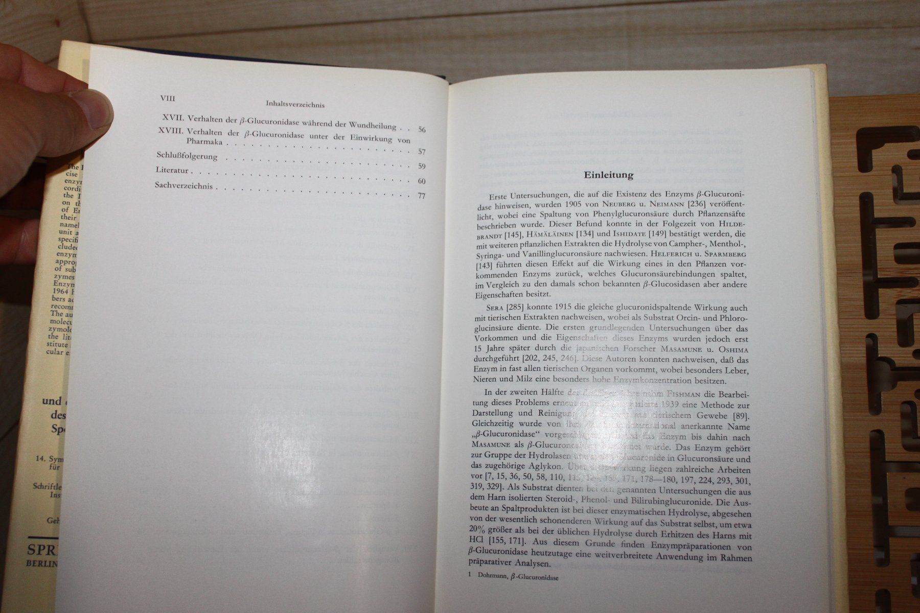 Libri: ß-Glucuronidase - Rolf E. Dohrmann – Usato da Kaden venduto da Buchantiquariat 2