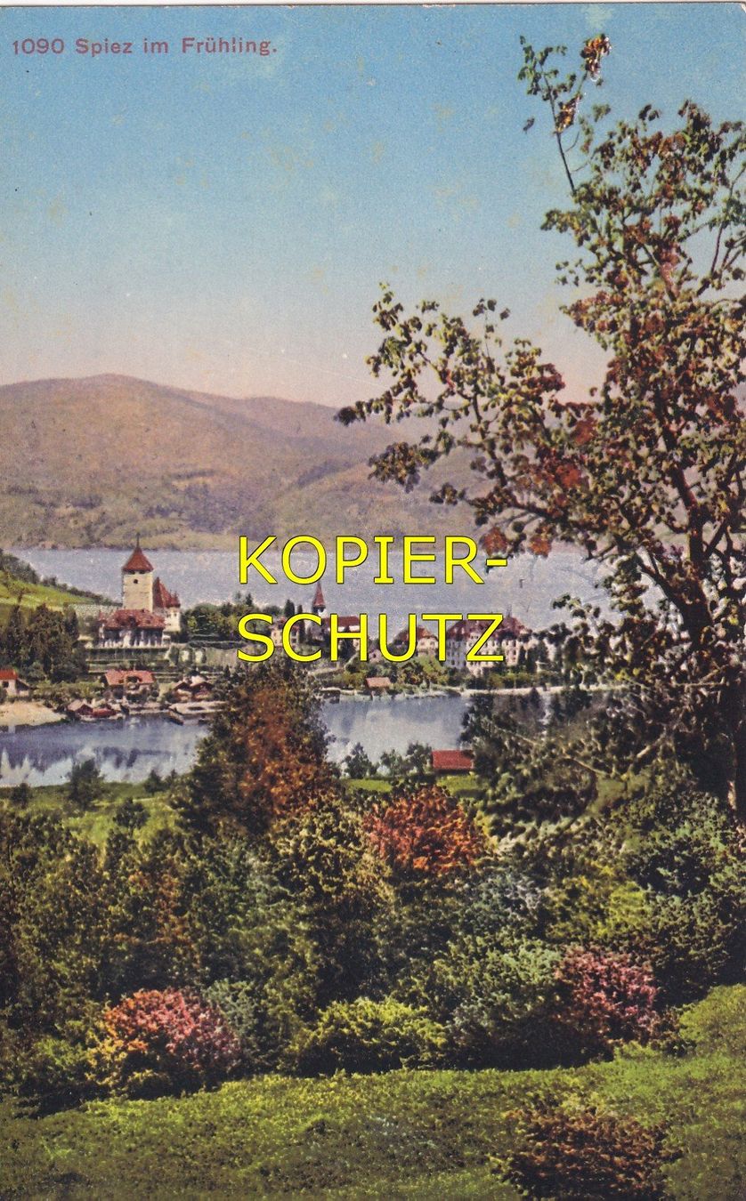 Cartoline postali: Spiez im Frühling /bb – Usato da Hombrechtikon venduto da Rudolf07