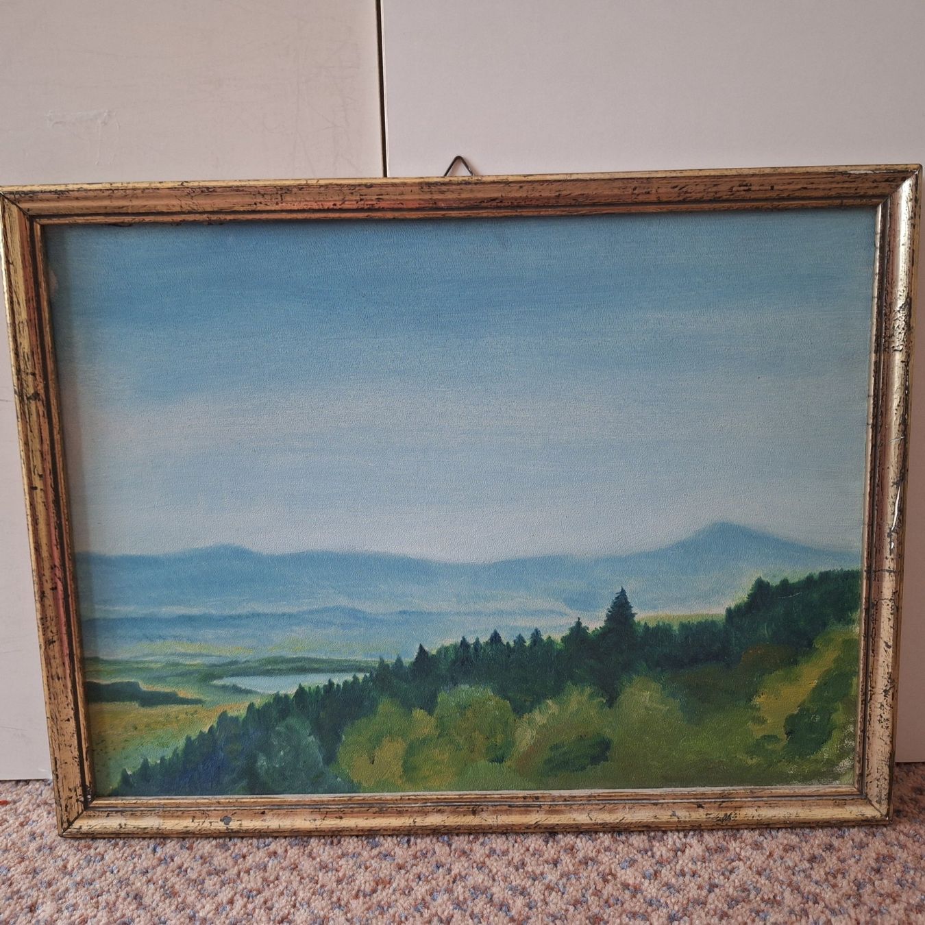 Poster & Bilder: Älteres, gemaltes Bild "Blick auf Greifensee" – Gebraucht aus Winterthur von Goldpipau