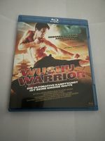Wushu Warrior