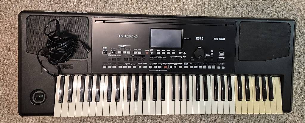 Korg Strumenti musicali: Keyboard Korg PA 300 – Usato da Zollikofen venduto da Hammond4