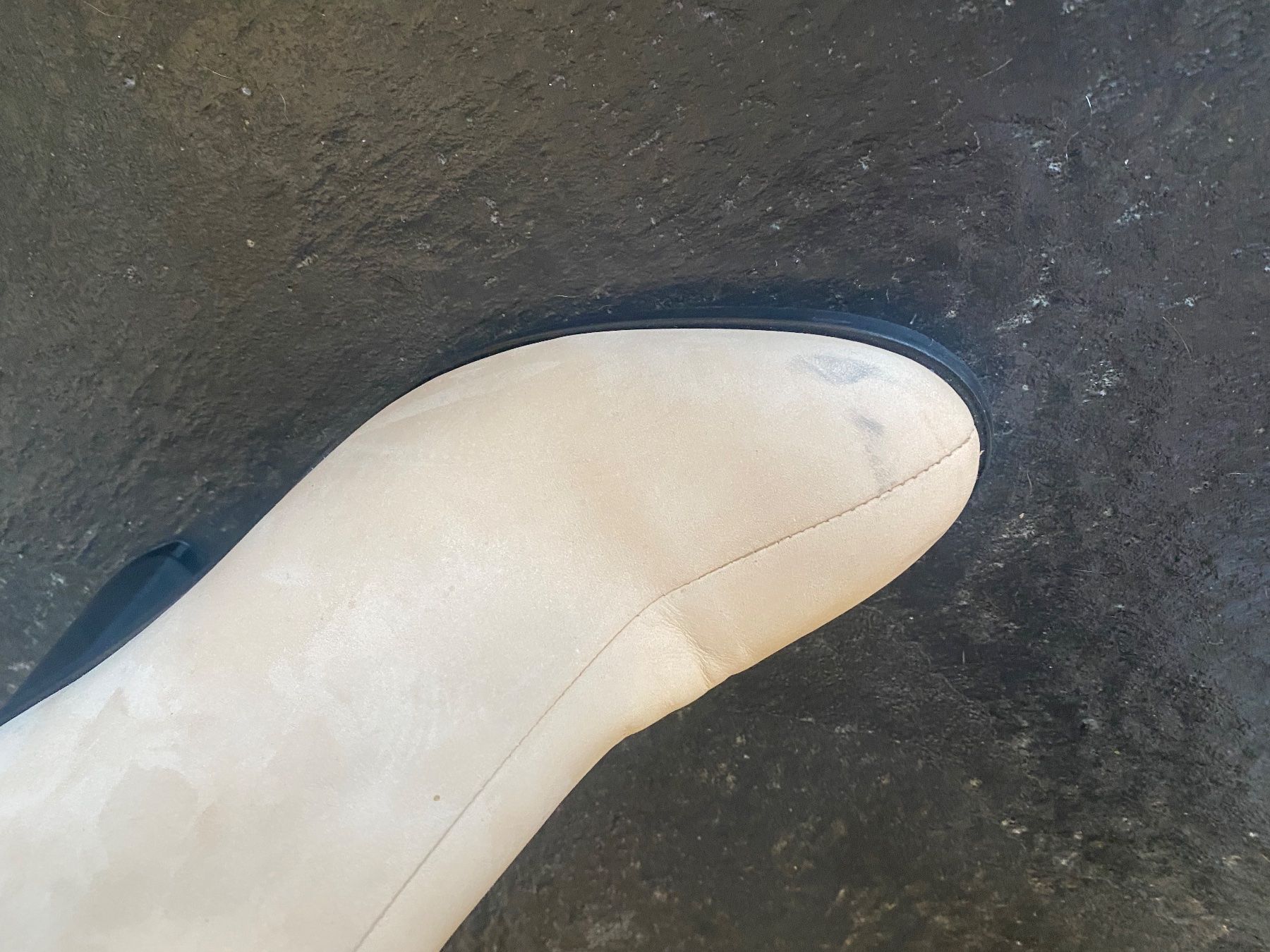 Scarpe da donna: Ankle Boots Beige von Bold – Usato da Chur venduto da simhofstr 7