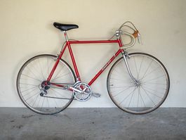 Vintage Rennrad Hofmann Sport