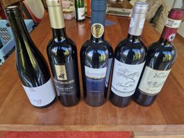 Weinsortiment 9 Flaschen gemischt guter Zustand