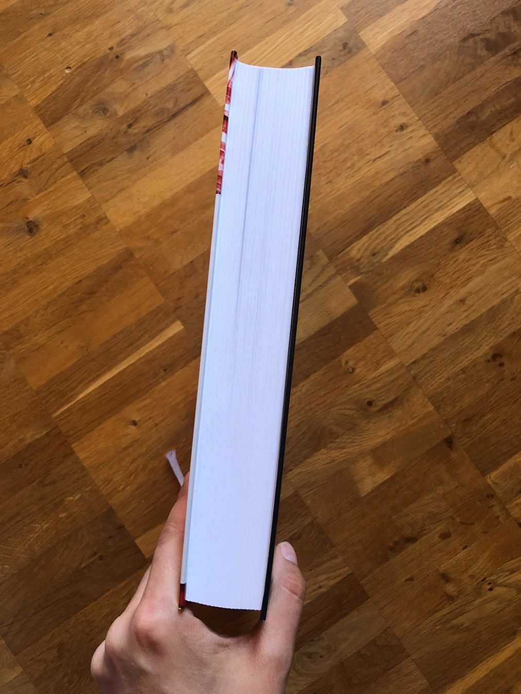 Livres: Algorithmen und Datenstrukturen – Neuf (Voir description) à Wetzikon ZH par kat_ywn6 4