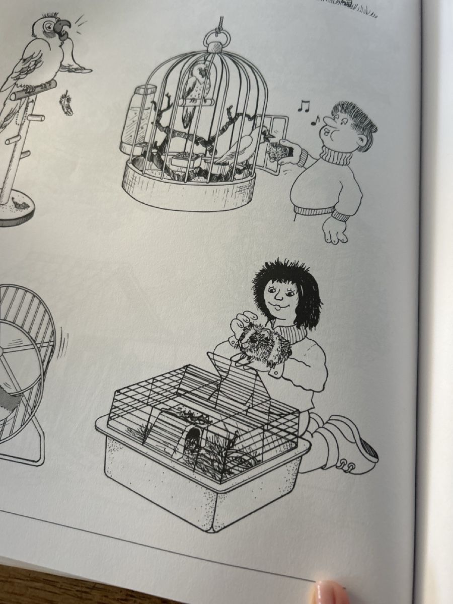 Libri: Das schnittige Schnipselbuch – Usato da Wichtrach venduto da henzmann1 3