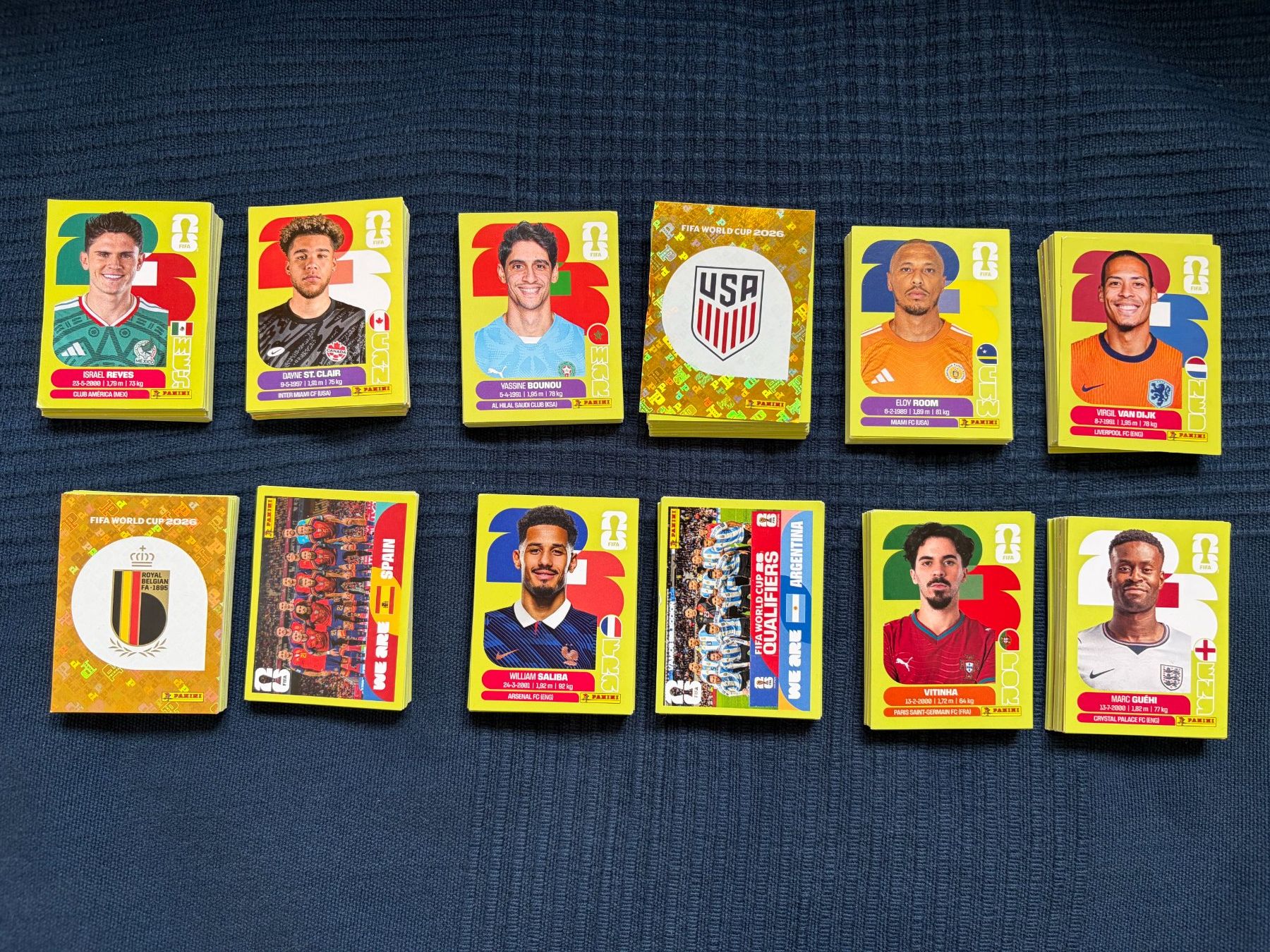 Panini Carte collezionabili: 393 Panini Bilder ohne Doppelte – Usato da Thalwil venduto da kon_v82n 1