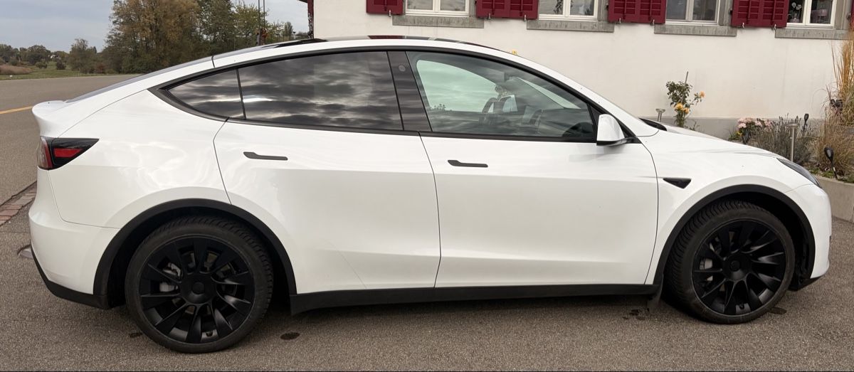 Tesla Automobili: Tesla Model Y Hinterradantrieb Pearl White – Usato da Greifensee venduto da Flobaben 1