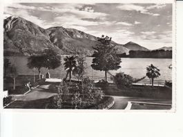 Muralto 1955