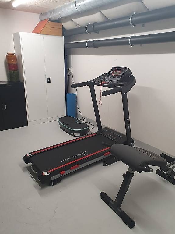 Hometrainer: Sportstech Rückentrainer BRT 200 – Gebraucht aus Zürich von Michele29 1