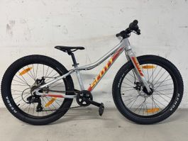 Scott Scale plus 24 Zoll 