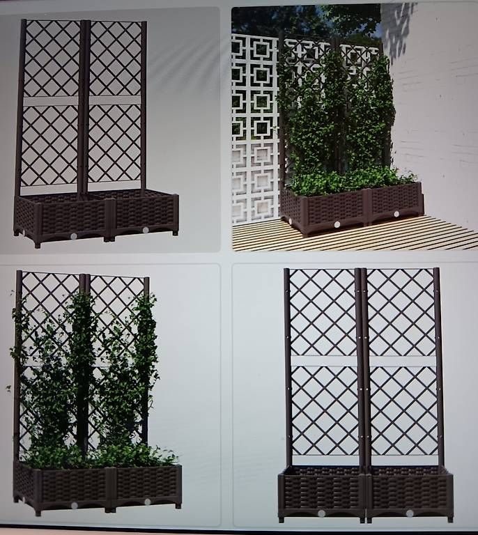 Altre Decorazioni per giardino: Pflanzkübel mit Rankgitter – Usato da Stoos SZ venduto da Cantucci1