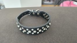 Glamour Halsband für Hunde
