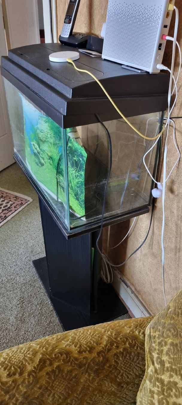Aquarium: Aquarium meuble – Gebraucht aus Bavois von her_9899 2
