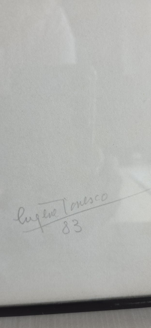 Grafica & Litografie: Eugène Ionesco lithographie la postérité royale – Nuovo (secondo la descrizione) da Ascona venduto da principessacaroline 2