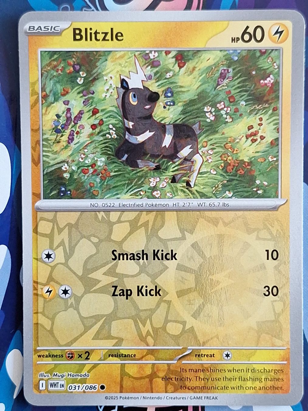 Pokémon Carte collezionabili: Blitzle - Reverse Holo Pokemon White Flare - #7.5 – Usato da Altstätten SG venduto da GGsGameshop