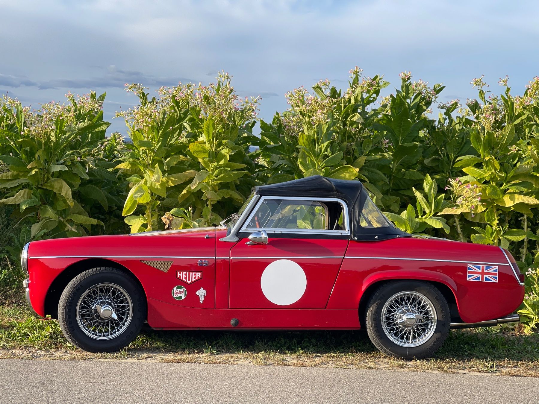 MG Autos: MG Midget 1963 Mk1 Oldtimer Veteran Retro look – D'occasion à Flaach par Alphae 7