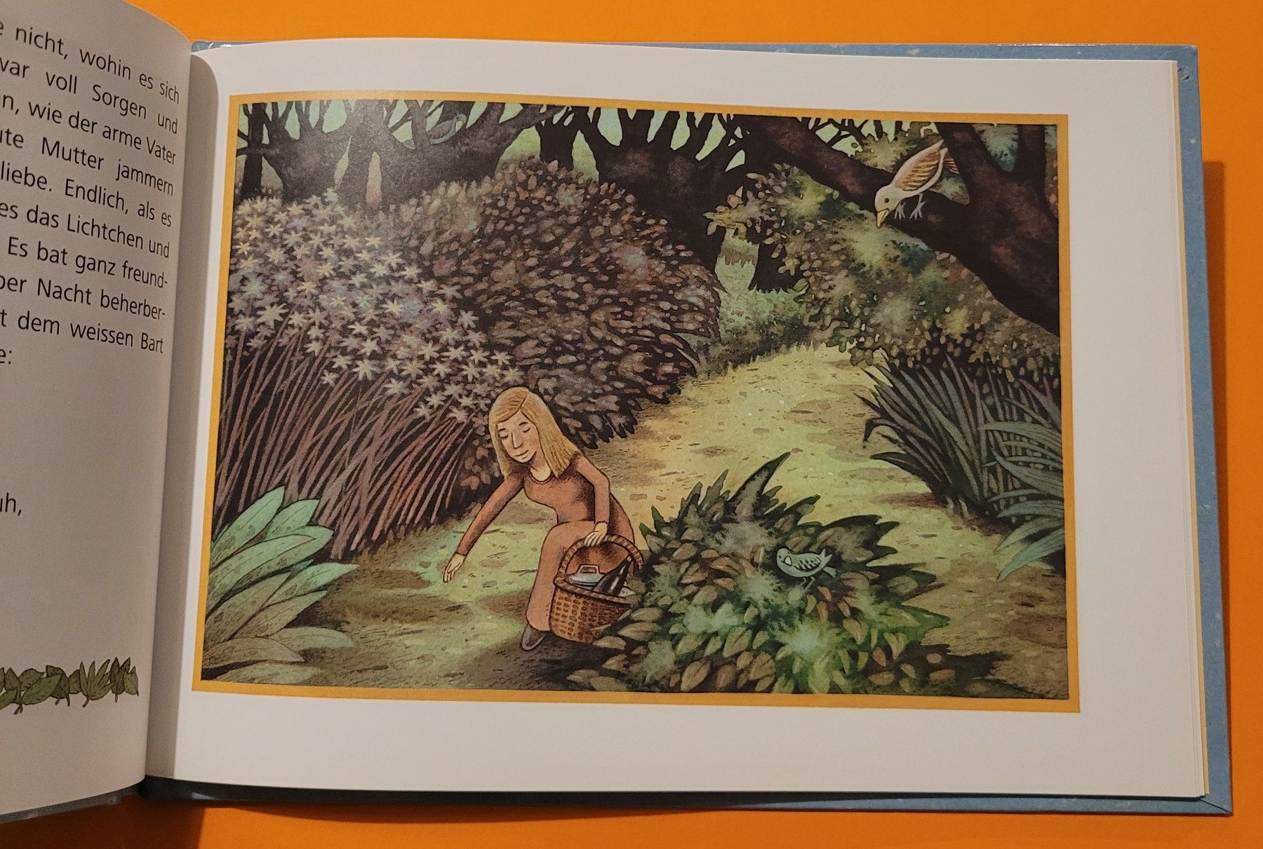Libri: Das Waldhaus - Ein Märchen der Brüder Grimm – Nuovo (secondo la descrizione) da Zürich venduto da Avd 5